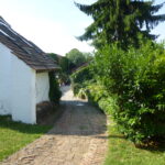Pflasterstein Weg bergab im Innenhof des Biohofs zwischen Haus und grünen Büschen.