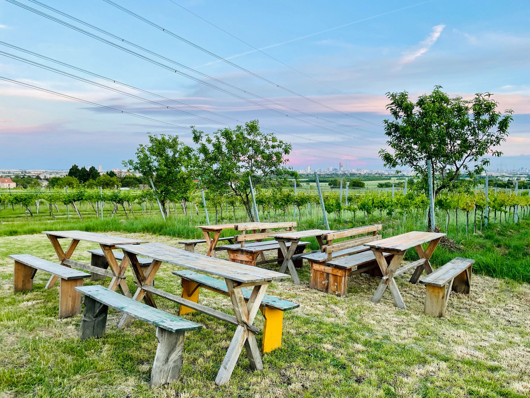 Biohof Nº5 Buschenschank Ab Hofverkauf Biologische Landwirtschaft